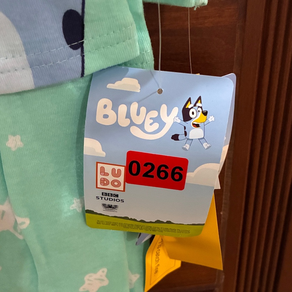 Bluey Kids Pajama Set - Mint Green and blue.  2 sets each purchase - Picture 2 of 4